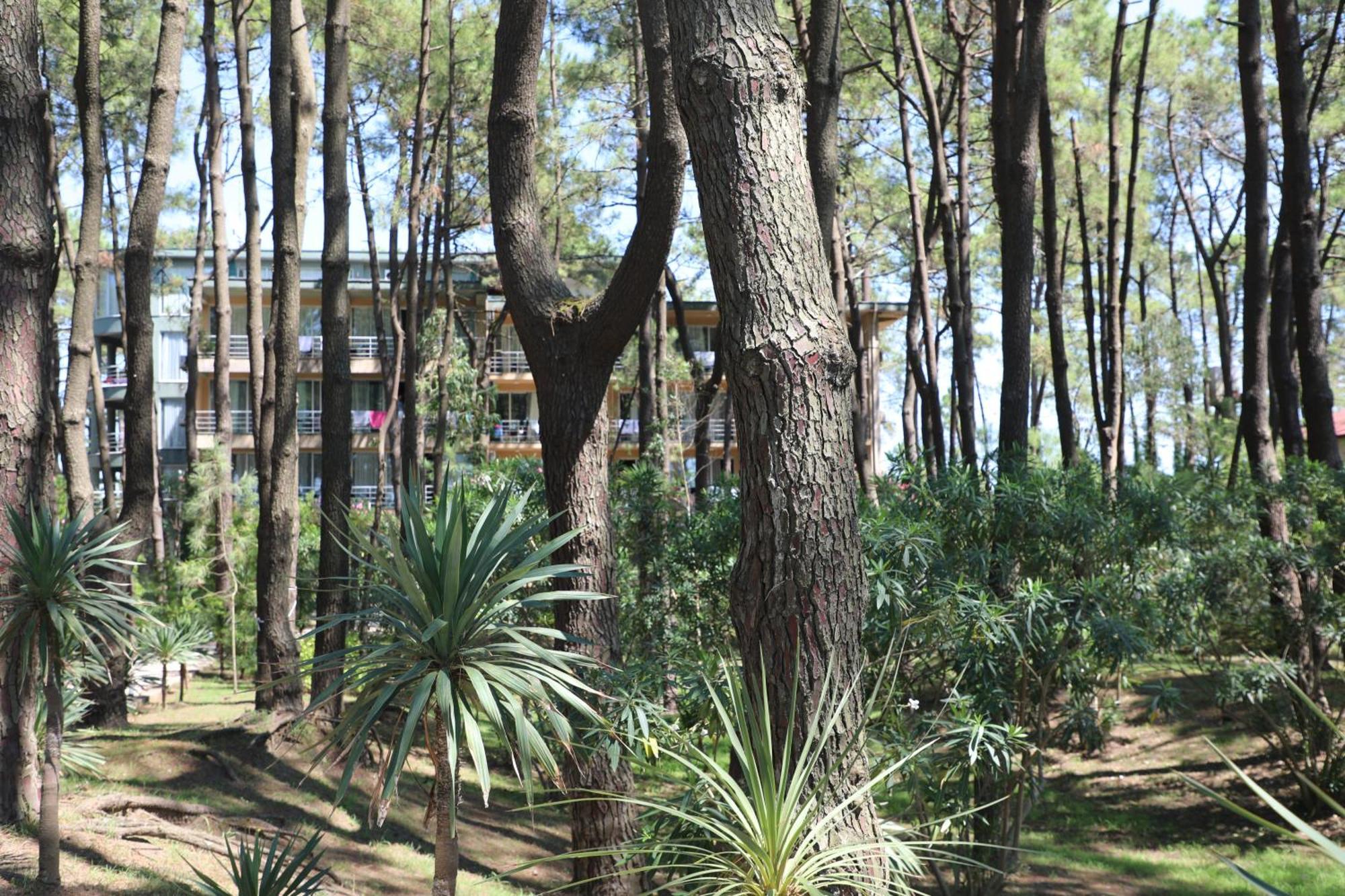 Andamati Beach Resort Grigoleti Kültér fotó
